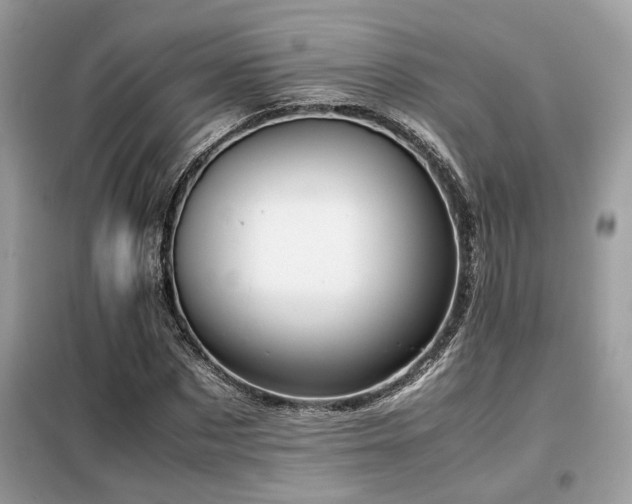 X0000099460873200805091526