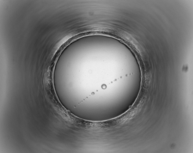 X0000099460875200805091526