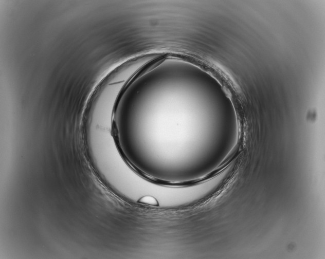 X0000099460876200805091526
