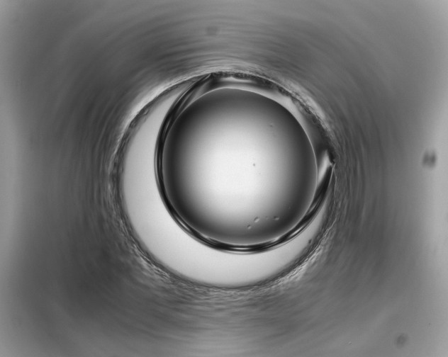 X0000099460877200805091526