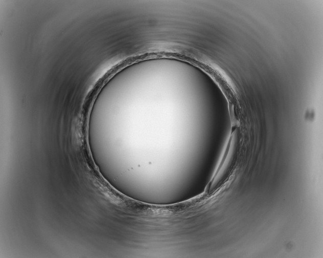 X0000099460878200805091526