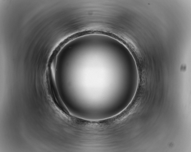 X0000099460880200805091526