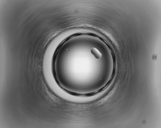 X0000099460881200805091526