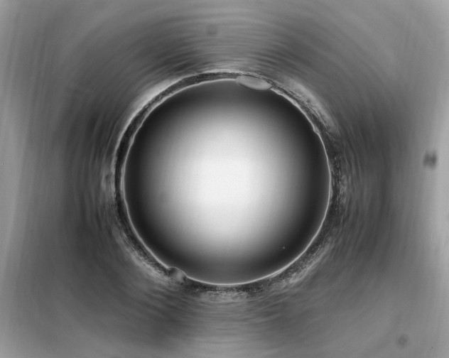 X0000099460884200805091526