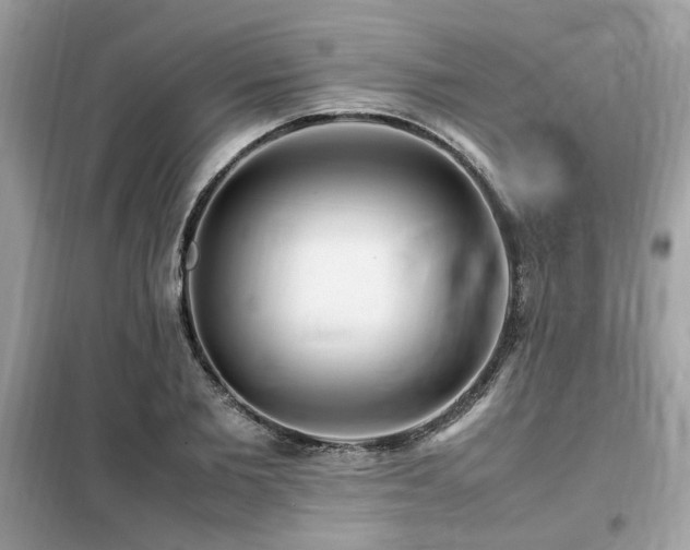 X0000099460885200805091526