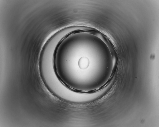 X0000099460888200805091526