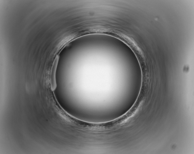 X0000099460889200805091526