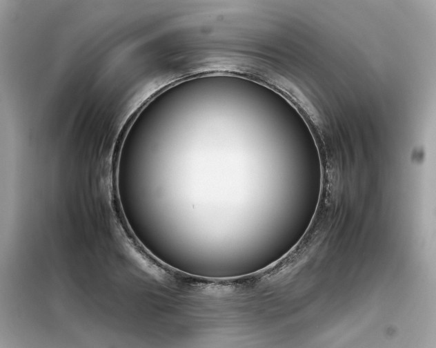 X0000099460890200805091526