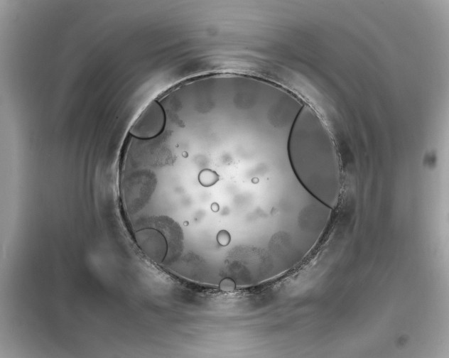 X0000099460891200805091526