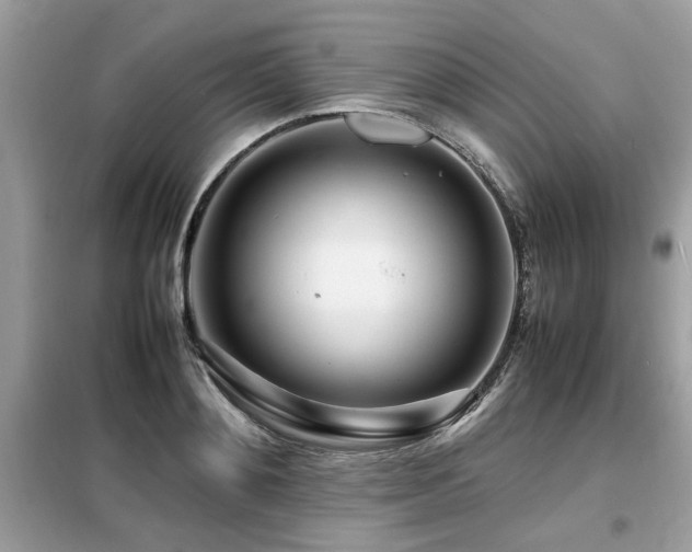 X0000099460892200805091526