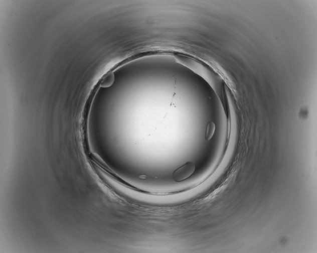 X0000099460893200805091526