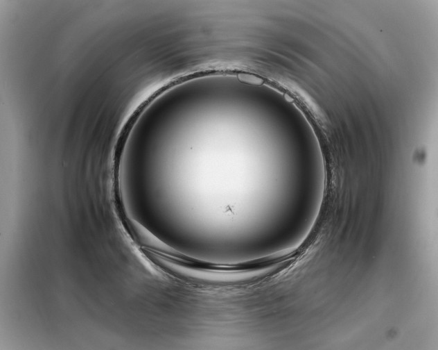 X0000099460894200805091526