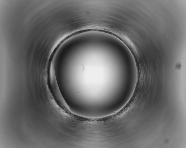 X0000099460896200805091526
