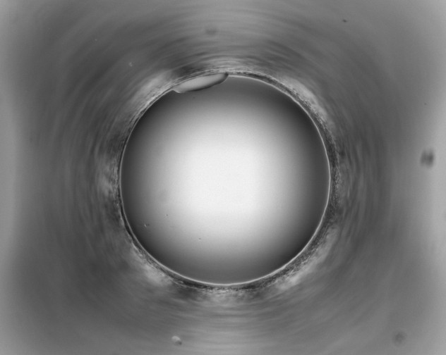 X0000099460897200805091526