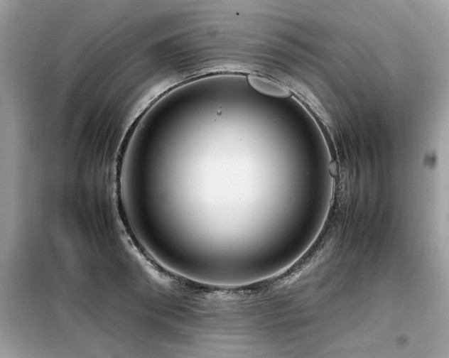 X0000099460898200805091526