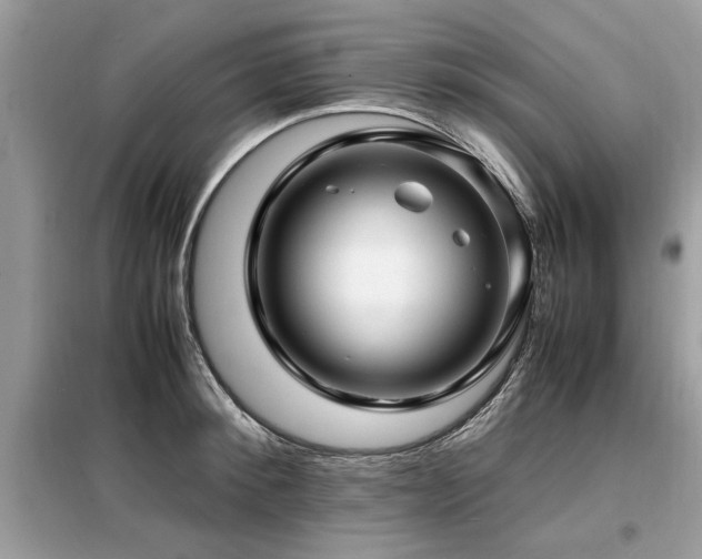 X0000099460900200805091526