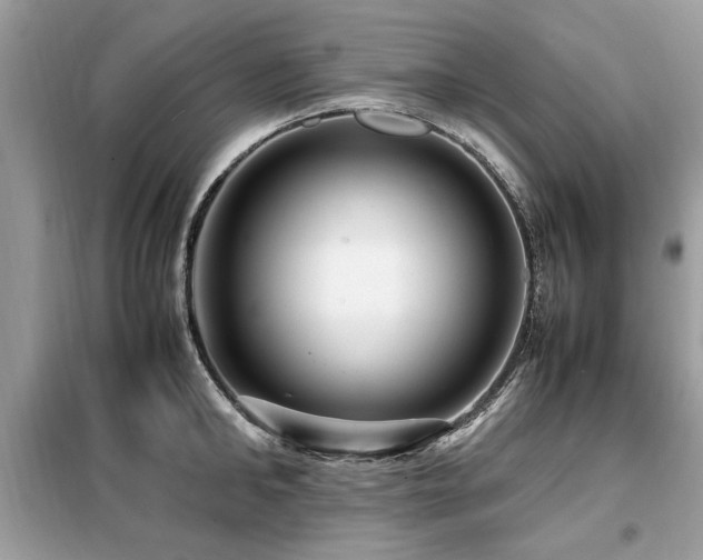 X0000099460902200805091526