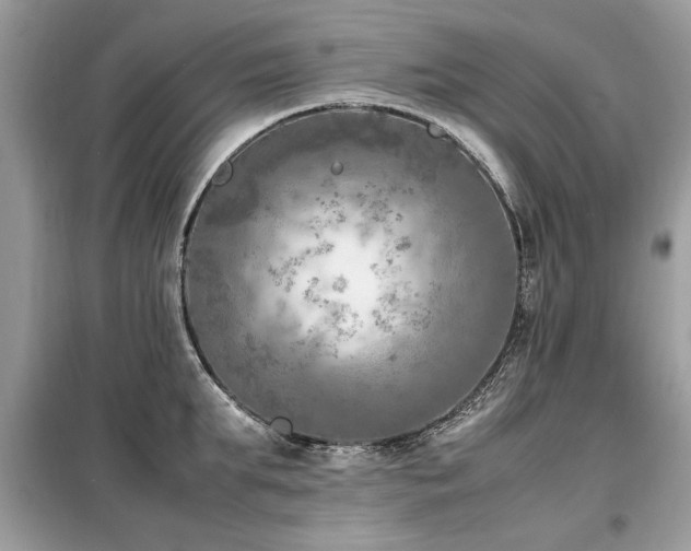 X0000099460903200805091526