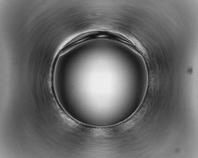 X0000099460904200805091526