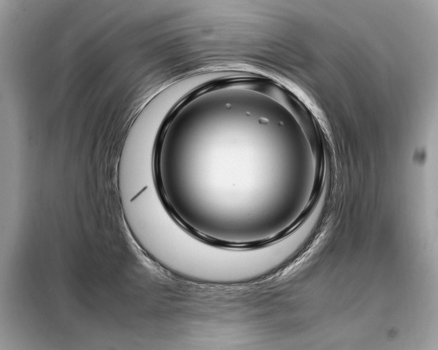 X0000099460905200805091526
