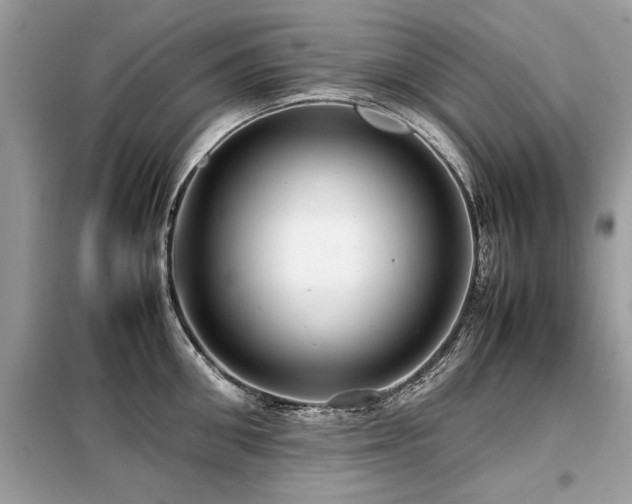 X0000099460906200805091526