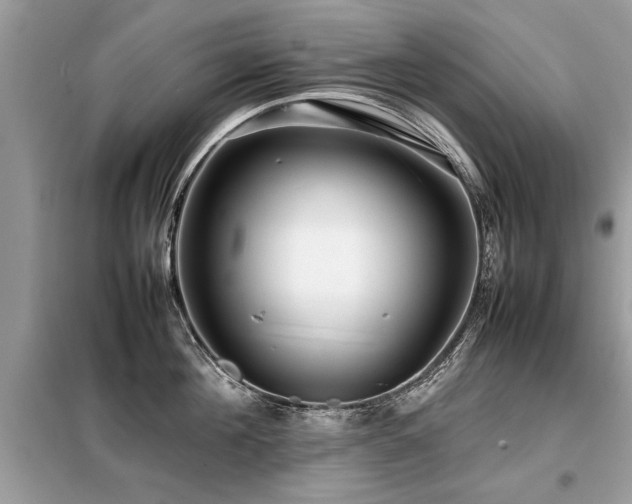 X0000099460908200805091526