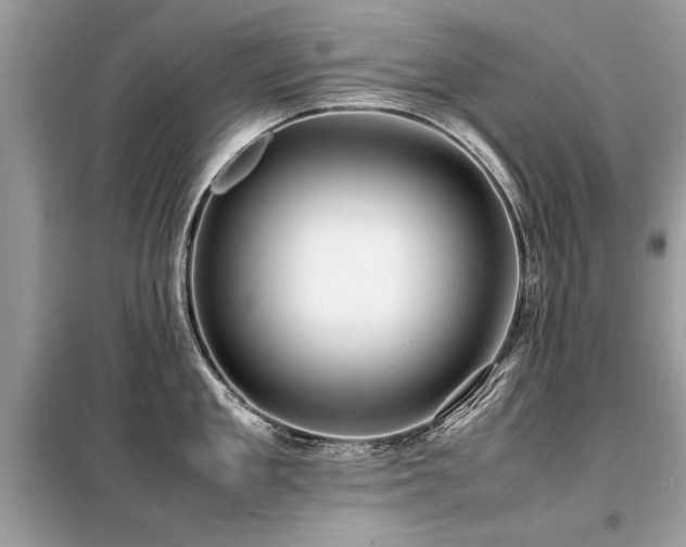 X0000099460909200805091526