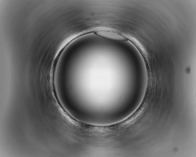 X0000099460910200805091526