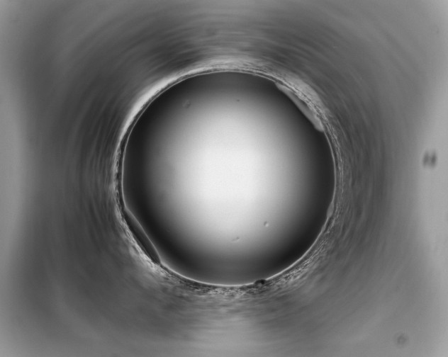 X0000099460912200805091526