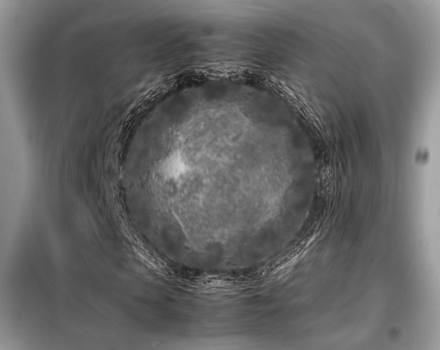 X0000099460913200805091525