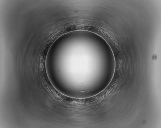 X0000099460914200805091525