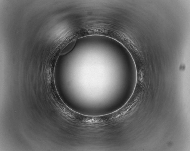 X0000099460915200805091525