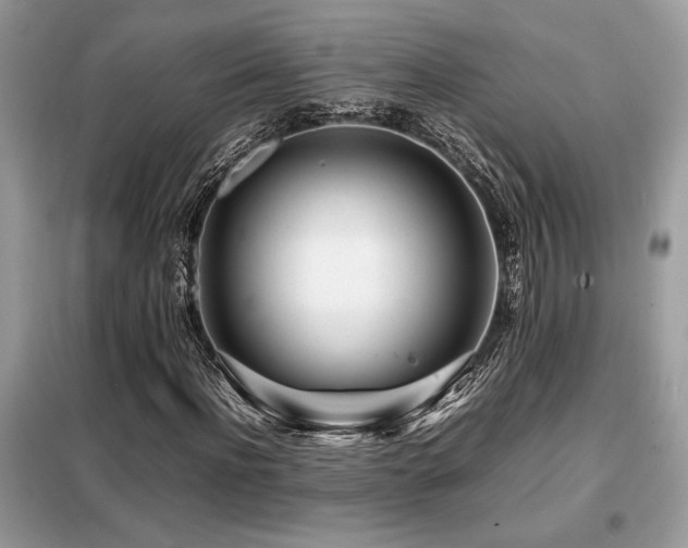X0000099460916200805091525