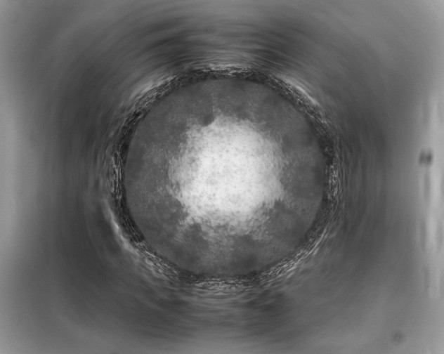 X0000099460917200805091525