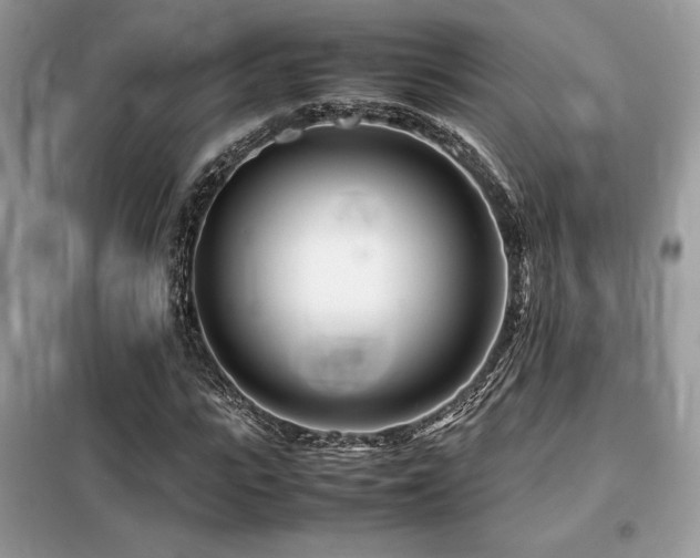 X0000099460919200805091525