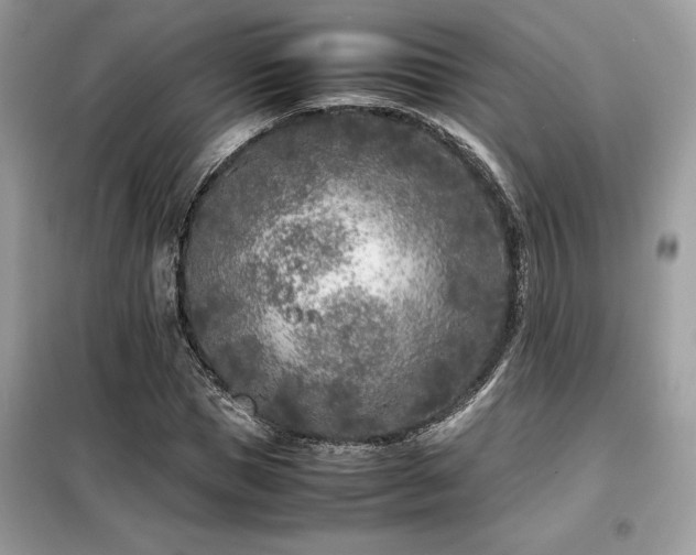 X0000099460921200805091525