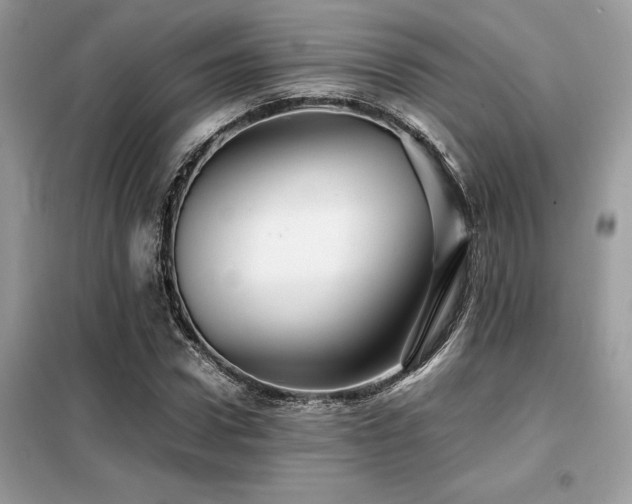 X0000099460922200805091525