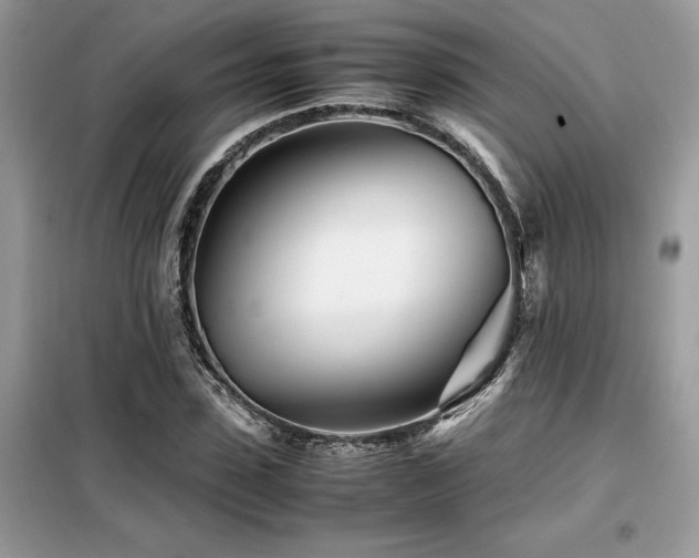 X0000099460923200805091525