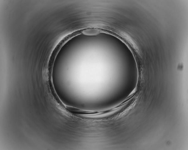 X0000099460924200805091525