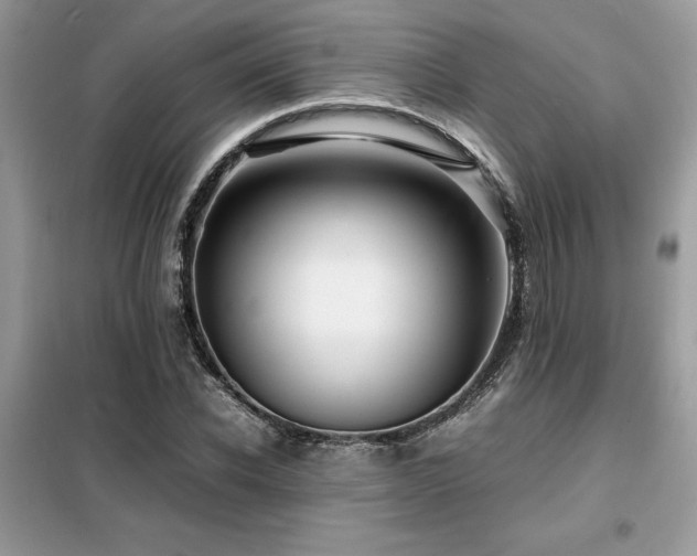 X0000099460926200805091525