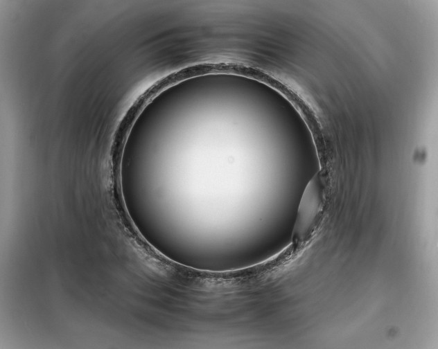 X0000099460927200805091525