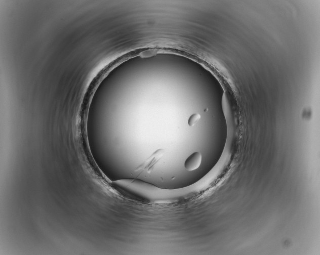 X0000099460928200805091525