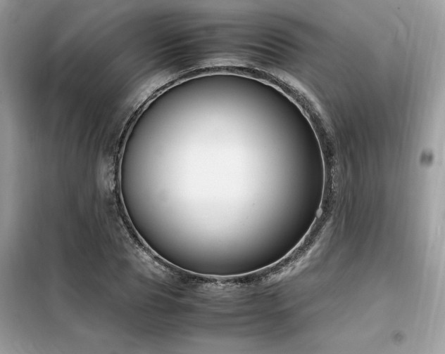 X0000099460929200805091525