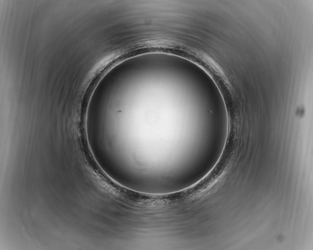 X0000099460930200805091525