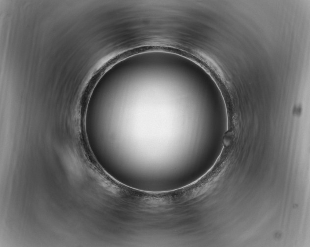 X0000099460931200805091525
