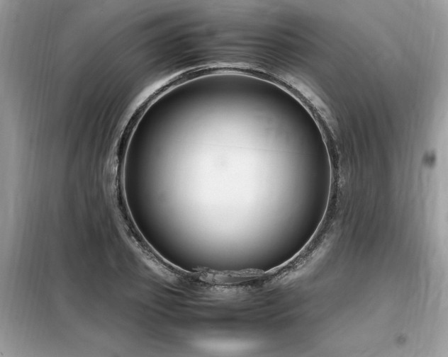 X0000099460933200805091525