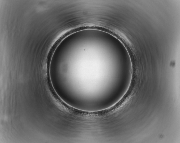 X0000099460934200805091525