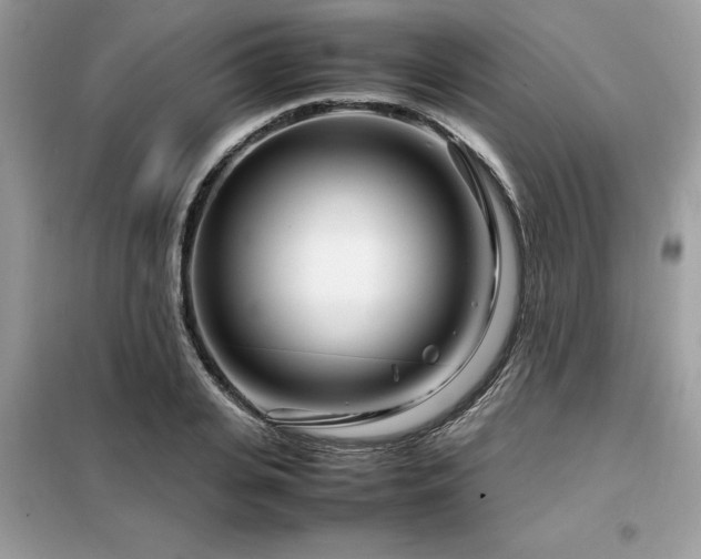 X0000099460935200805091525