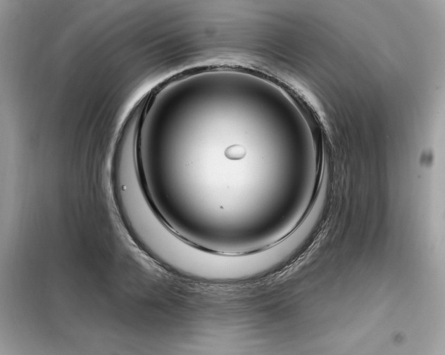 X0000099460936200805091525