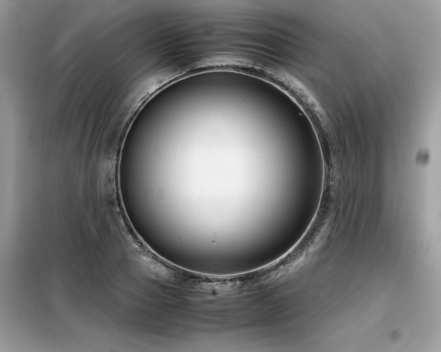 X0000099460937200805091525